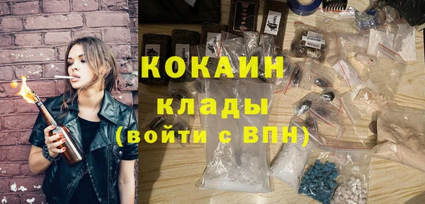 крисы Алексин
