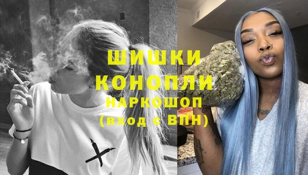 крисы Алексин