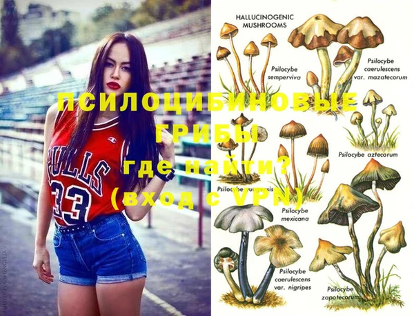 крисы Алексин