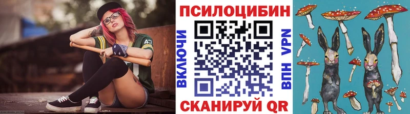 гидра ссылки  Орлов  Псилоцибиновые грибы Psilocybe  магазин   